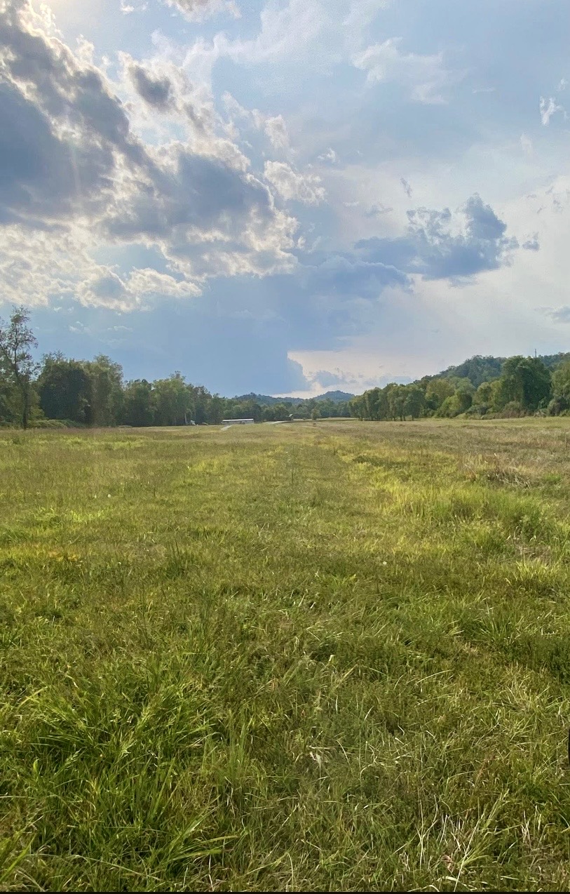 Open field at the campground