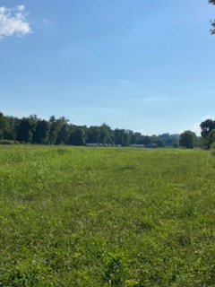 Open grassy campground area